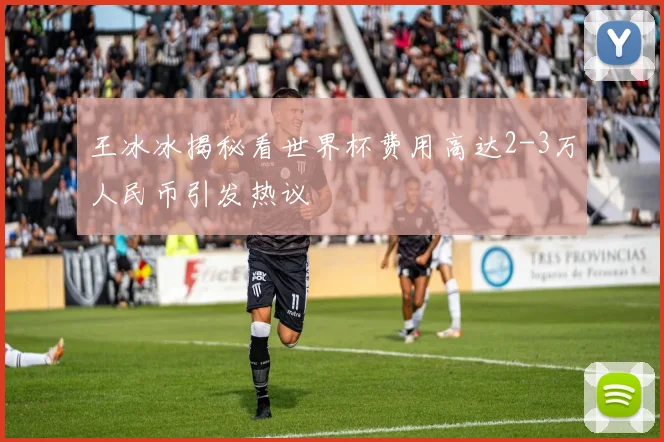 王冰冰揭秘看世界杯费用高达2-3万人民币引发热议